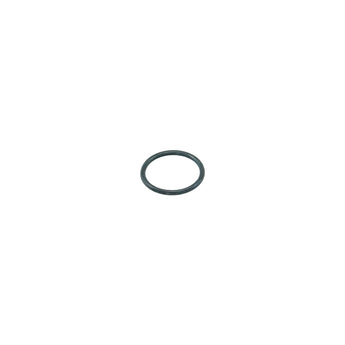 O-ring Titania pump