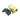 Solenoid valve - 1" 0-10 bar/12V DC coil - Milcotec